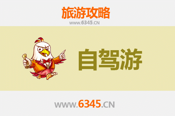 西安新城自驾游全攻略：探索古都现代魅力与历史交融