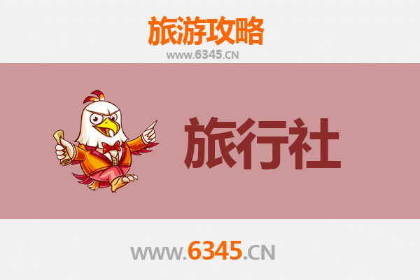 西安新城本地旅行社精选推荐及深度游玩攻略