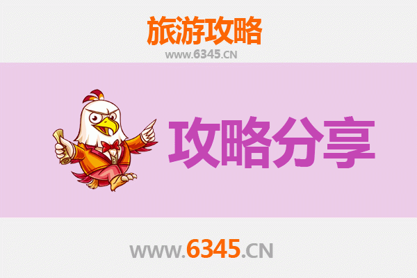 西安新城旅游攻略：跟团与自由行深度解析